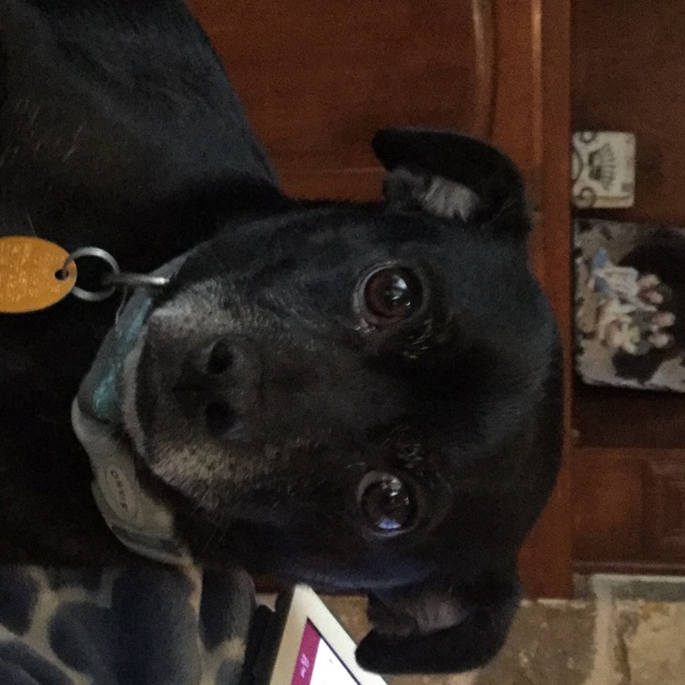 Meet your Posher, Mark